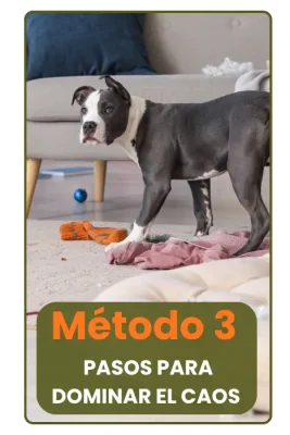 _(700 x 700 px) (1) (1)